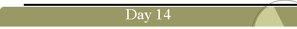 Day 14
