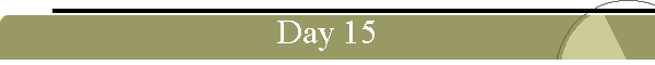 Day 15