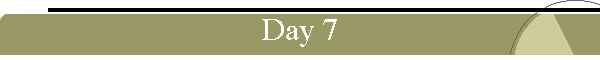 Day 7