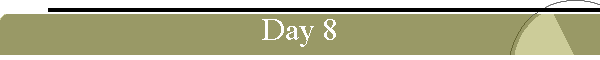 Day 8